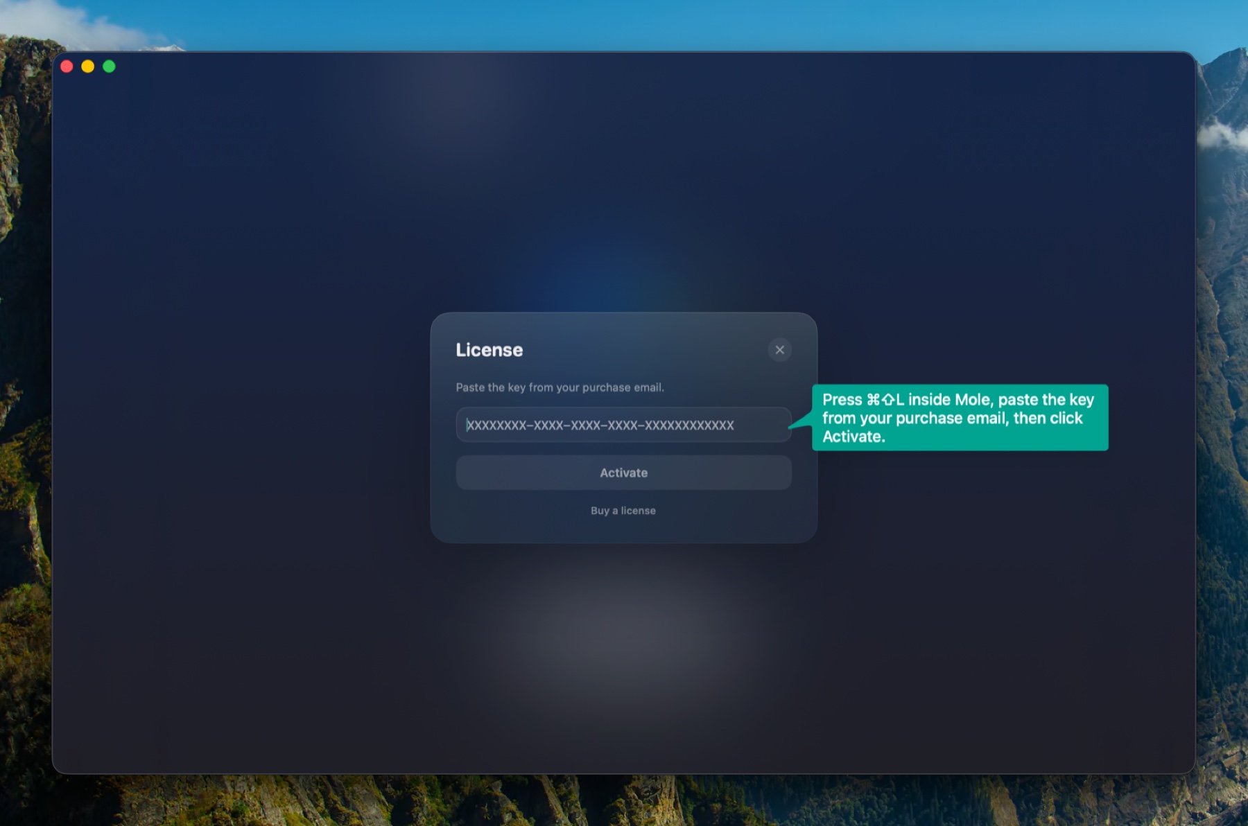 License activation panel inside Kivo